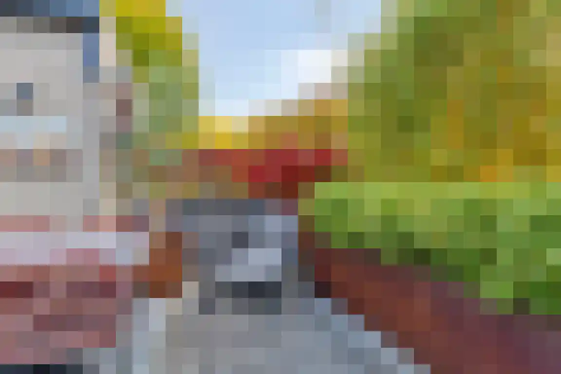 Rosheuvel 1 Valkenswaard thumbnail 34