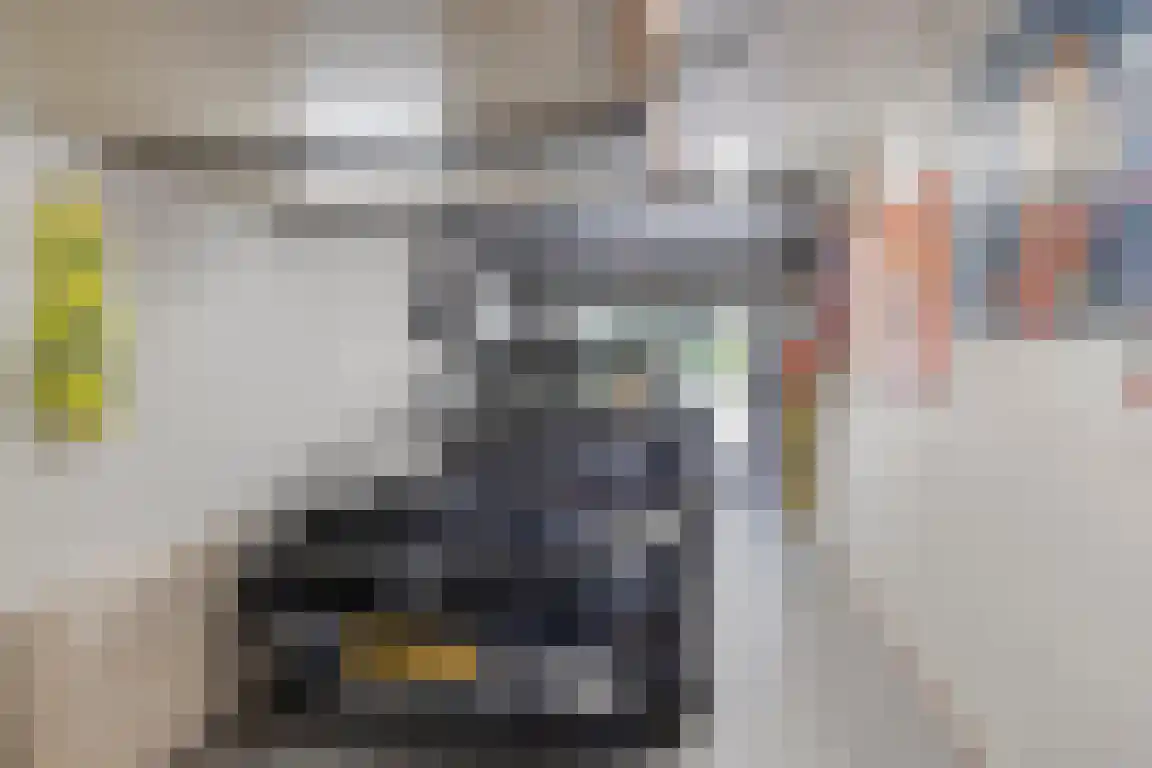 Rosheuvel 1 Valkenswaard thumbnail 40