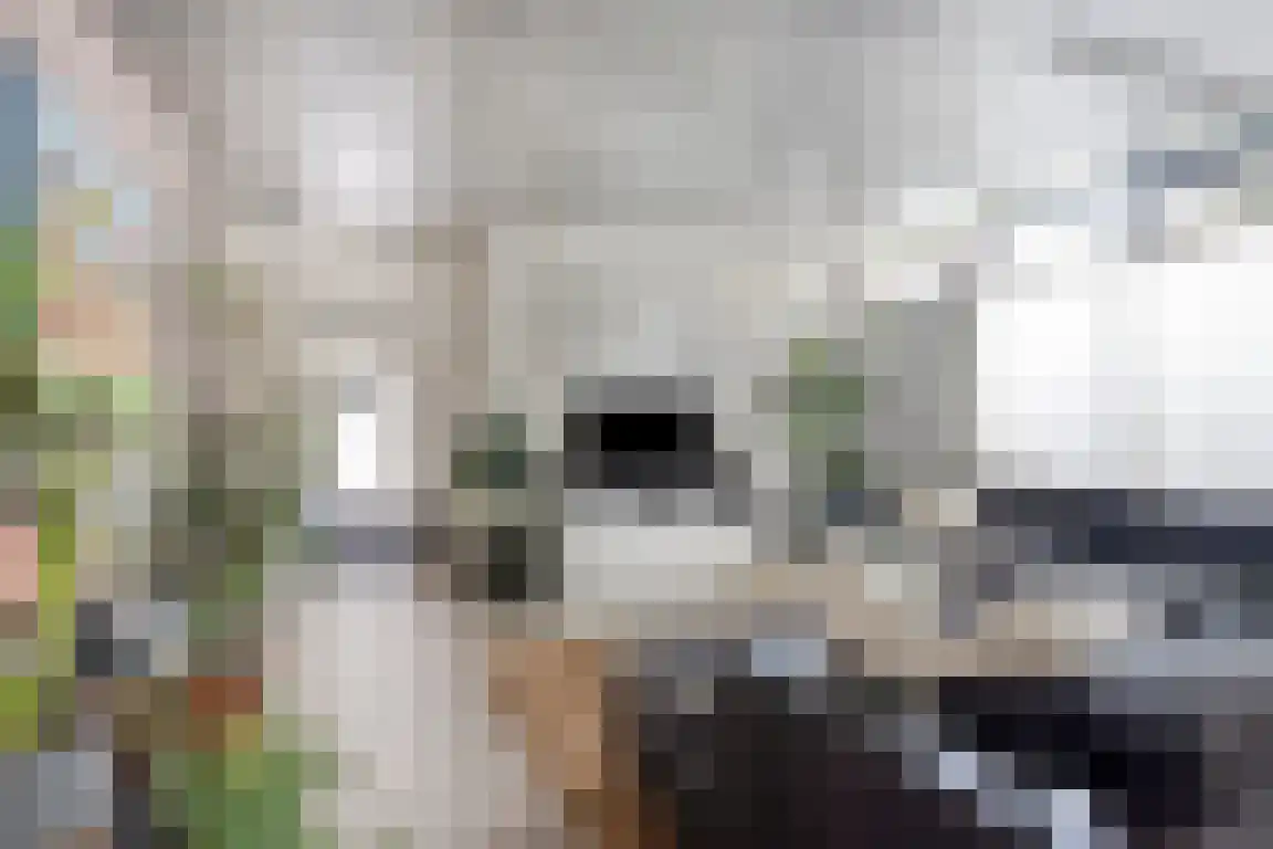 Rosheuvel 1 Valkenswaard thumbnail 43
