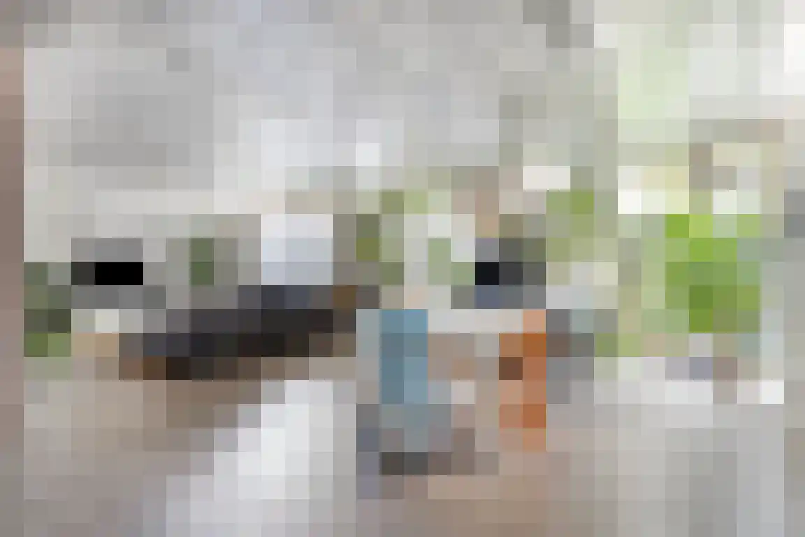 Rosheuvel 1 Valkenswaard thumbnail 46