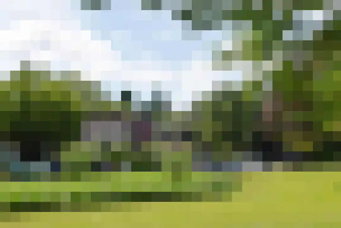 Rosheuvel 1 Valkenswaard thumbnail 5