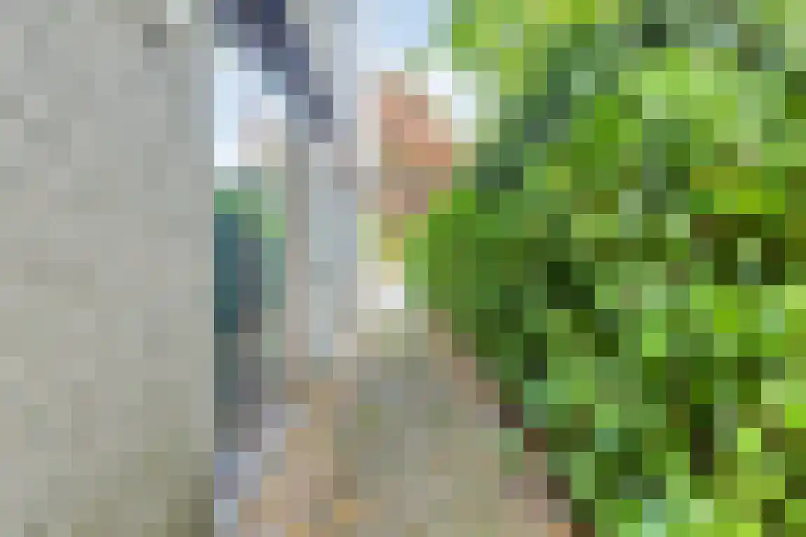Rosheuvel 1 Valkenswaard thumbnail 59