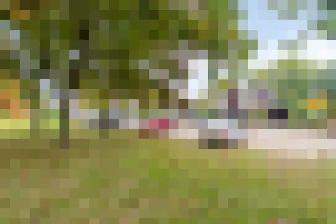Rosheuvel 1 Valkenswaard thumbnail 60