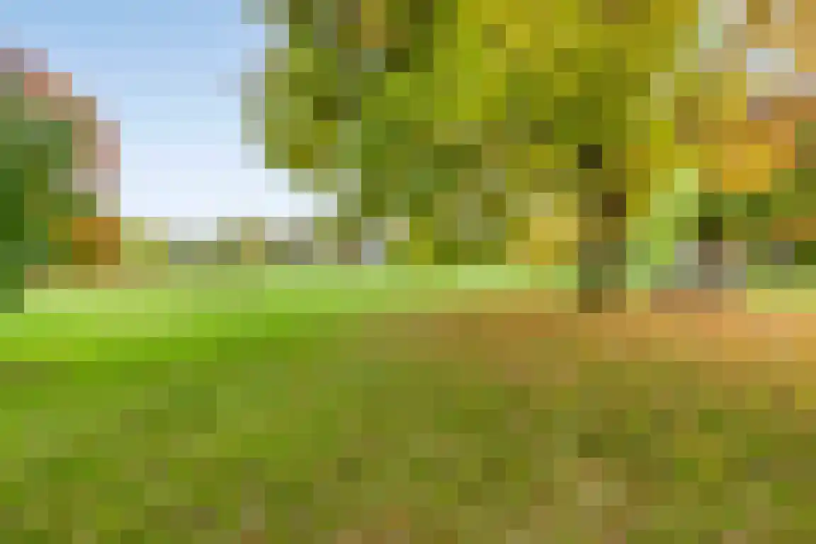 Rosheuvel 1 Valkenswaard thumbnail 61