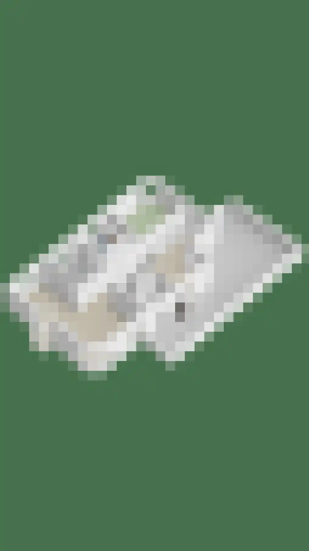 Rosheuvel 1 Valkenswaard thumbnail 67