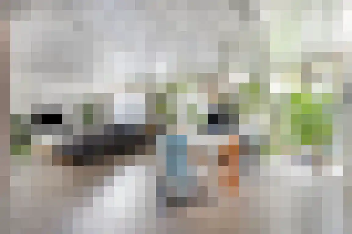 Rosheuvel 1 Valkenswaard thumbnail 7