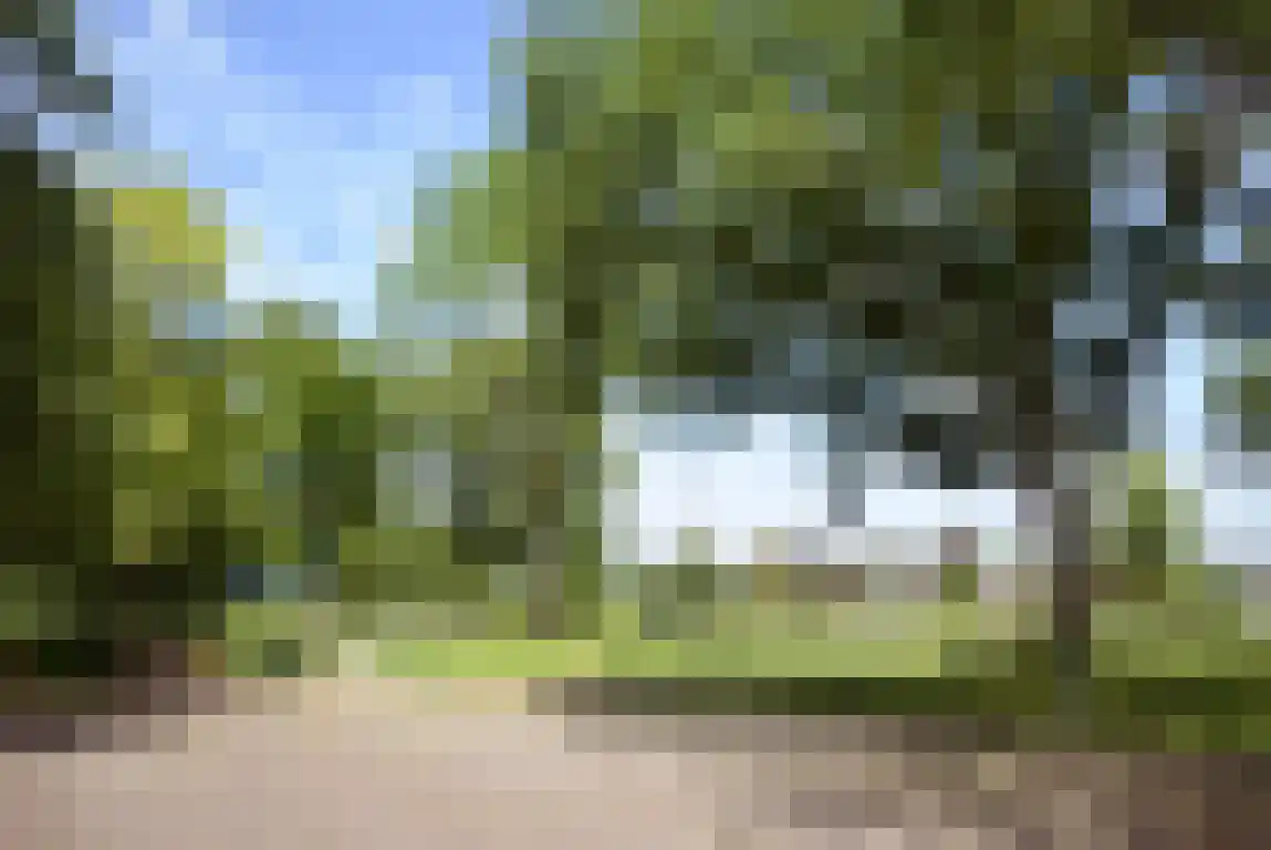 Rosheuvel 1 Valkenswaard thumbnail 8