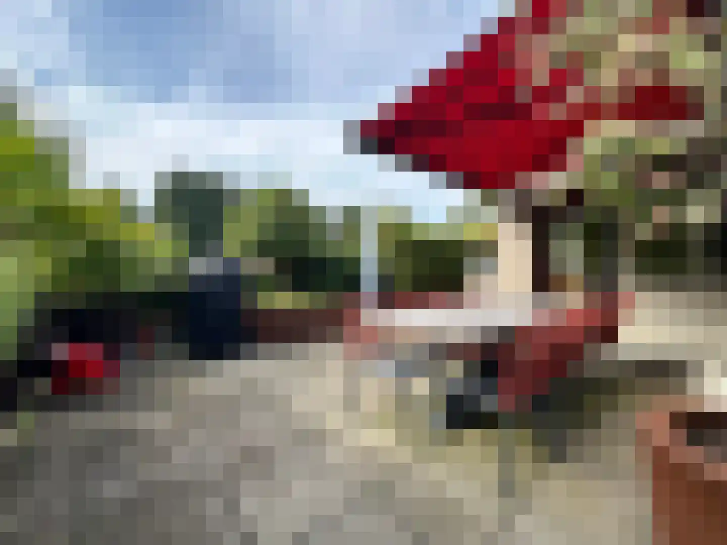 Rosheuvel 3 Valkenswaard thumbnail 22