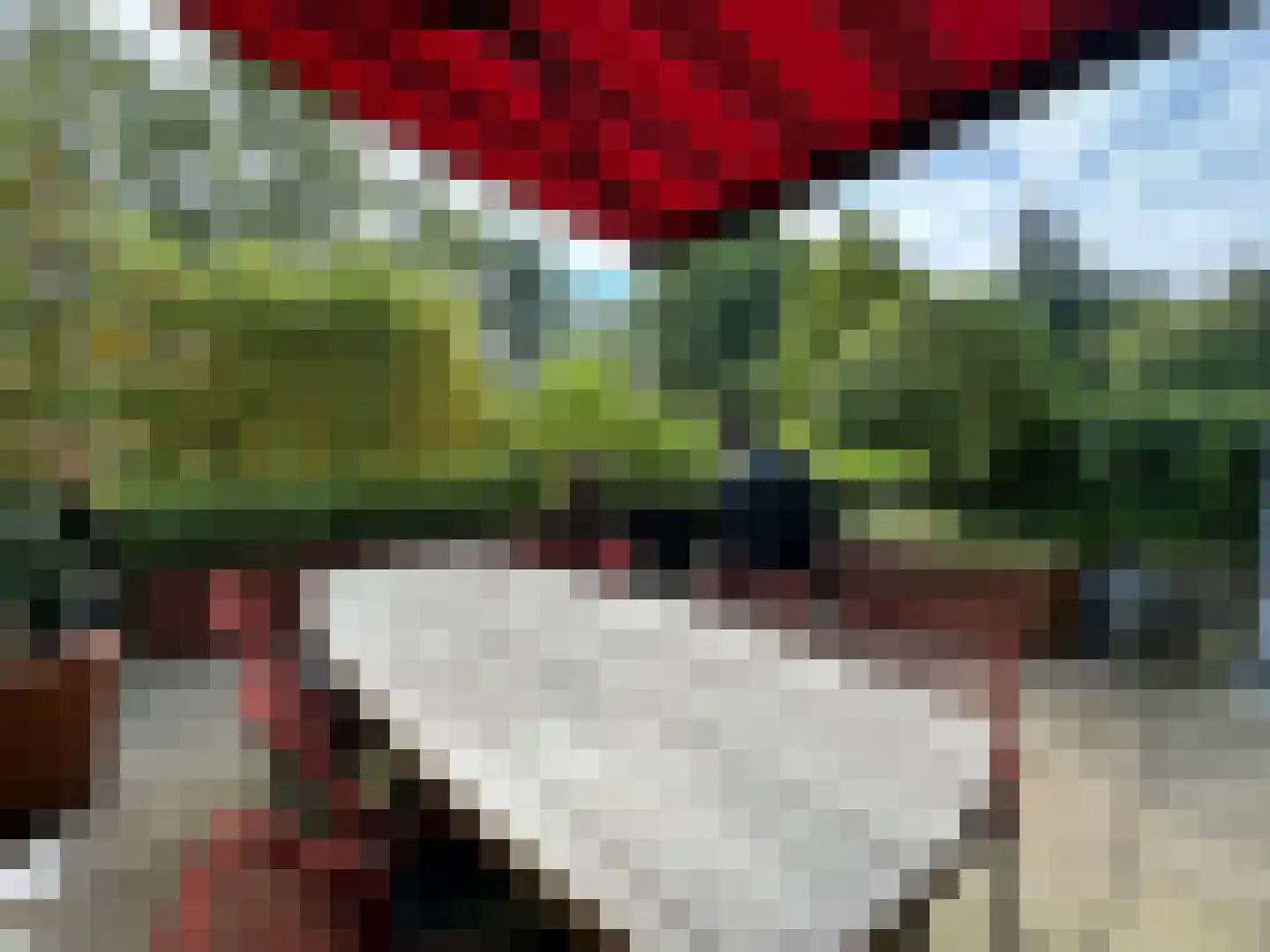 Rosheuvel 3 Valkenswaard thumbnail 23