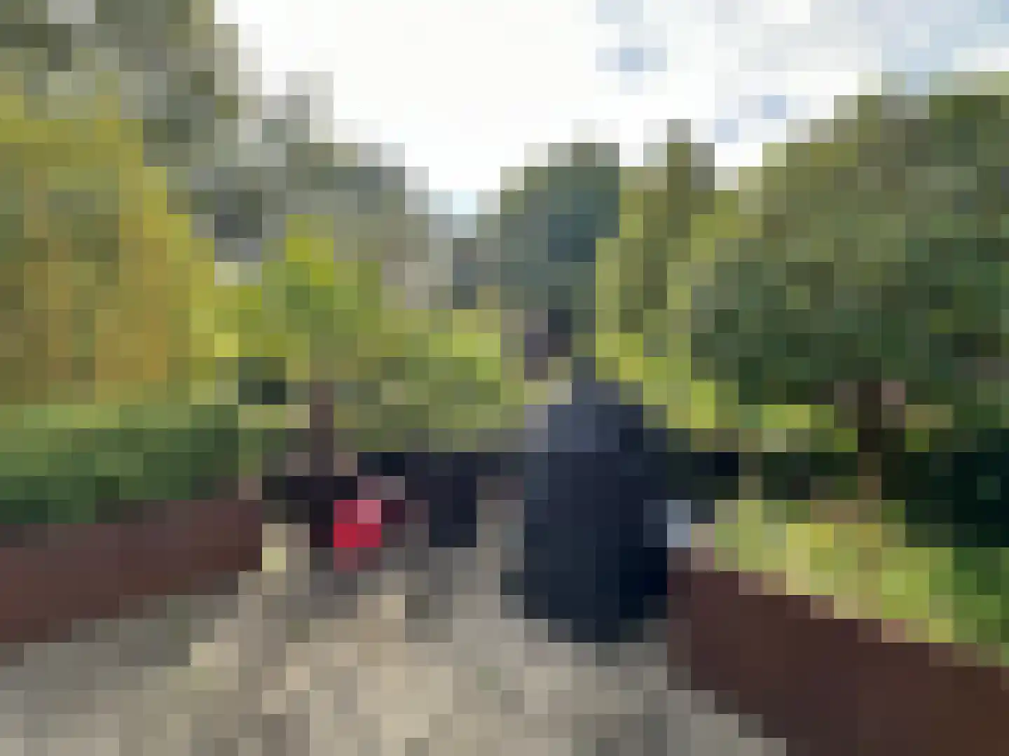 Rosheuvel 3 Valkenswaard thumbnail 24