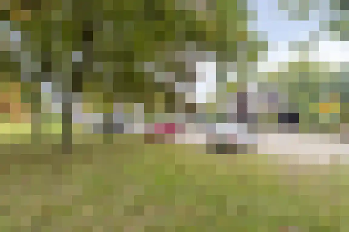 Rosheuvel 3 Valkenswaard thumbnail 38
