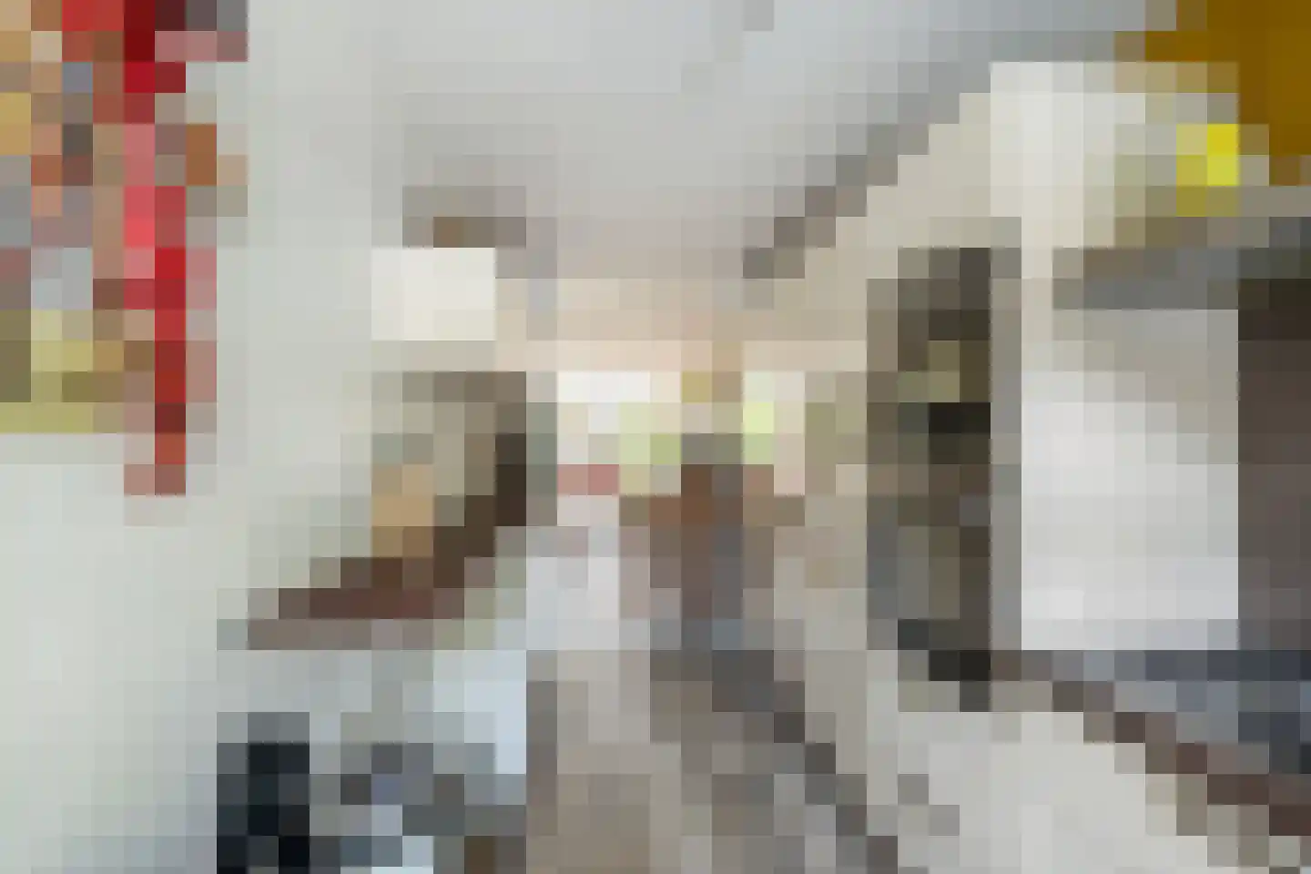 Rosier Faassenstraat 47 Rotterdam thumbnail 10