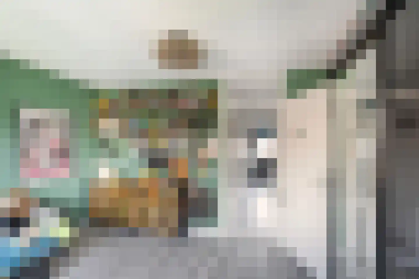 Rosier Faassenstraat 47 Rotterdam thumbnail 24