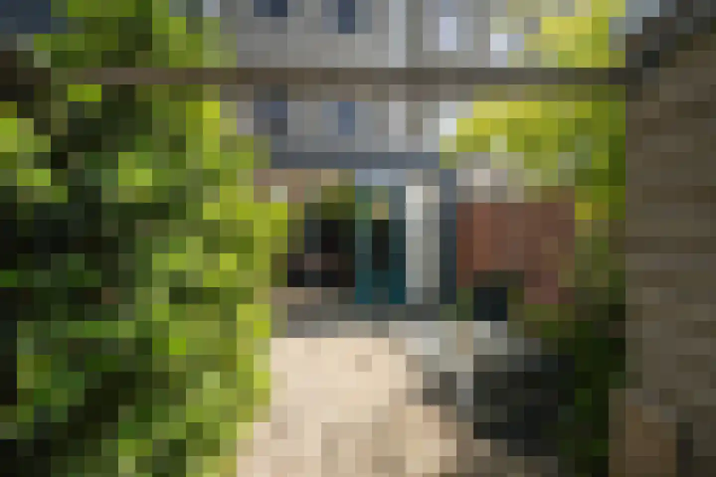 Rosier Faassenstraat 47 Rotterdam thumbnail 29