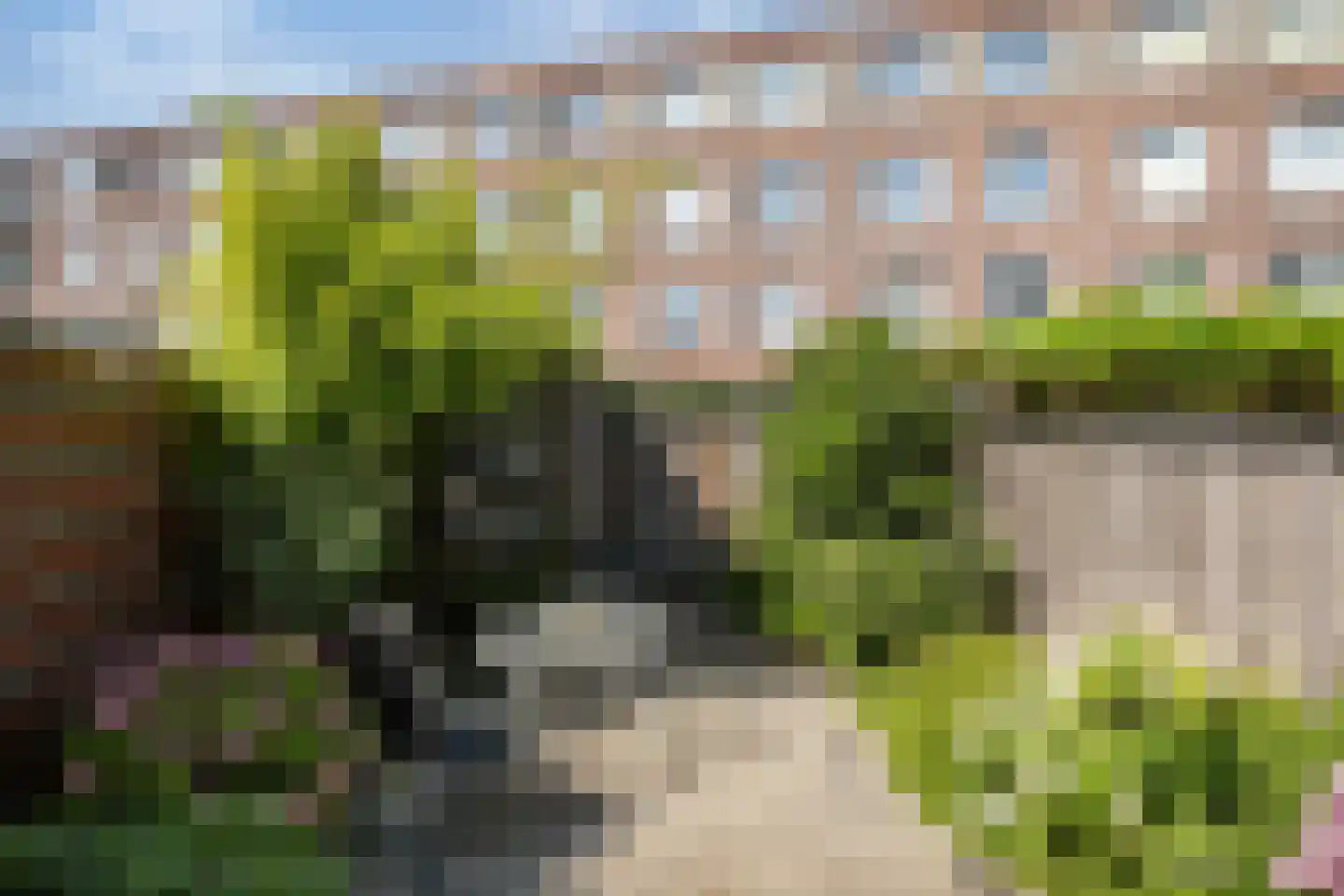 Rosier Faassenstraat 47 Rotterdam thumbnail 30