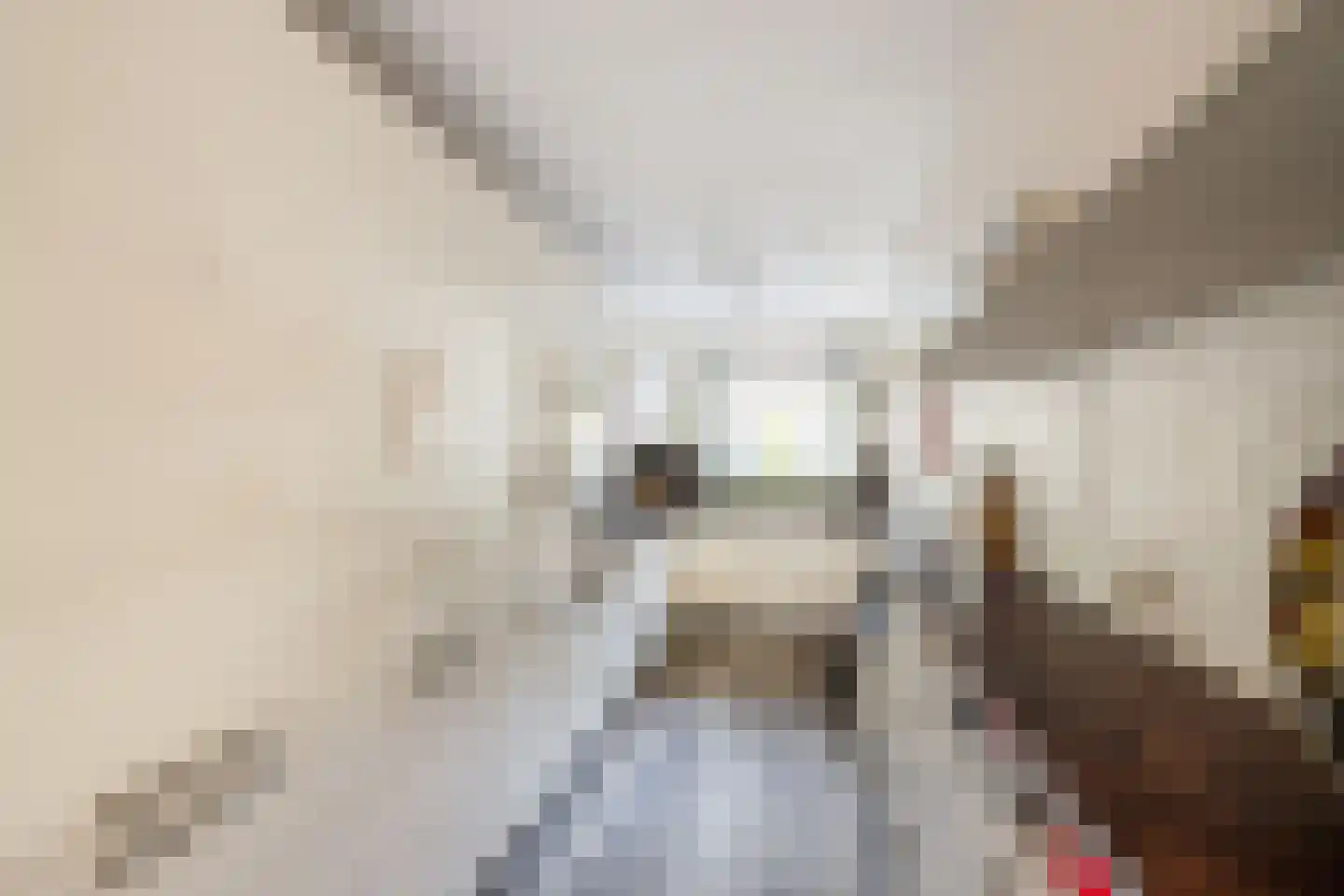 Rosier Faassenstraat 47 Rotterdam thumbnail 8