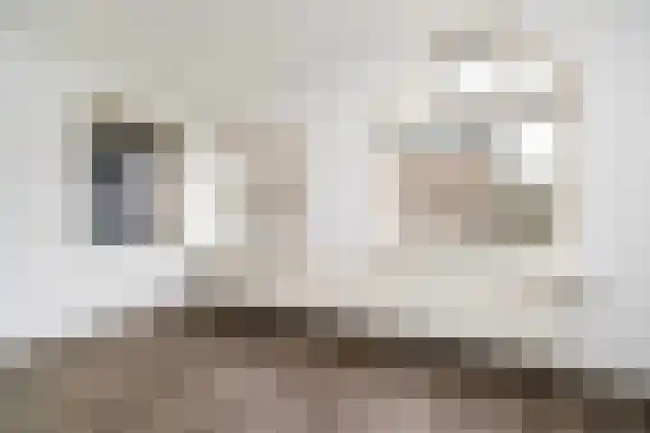 Rosier Faassenstraat 69 Rotterdam thumbnail 5