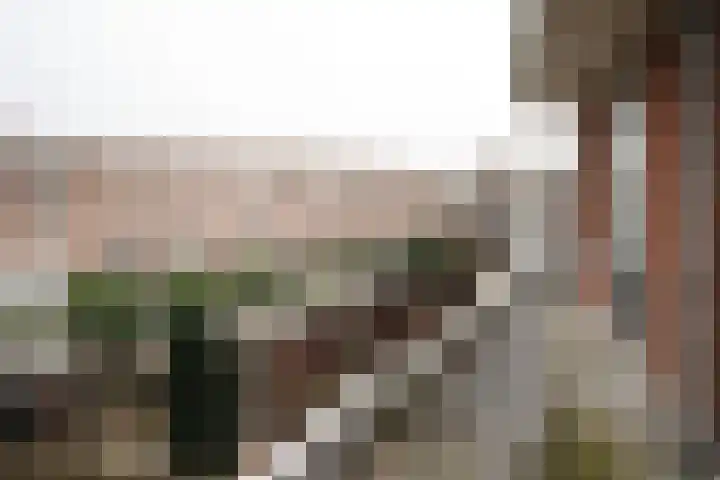 Rosier Faassenstraat 69 Rotterdam thumbnail 9