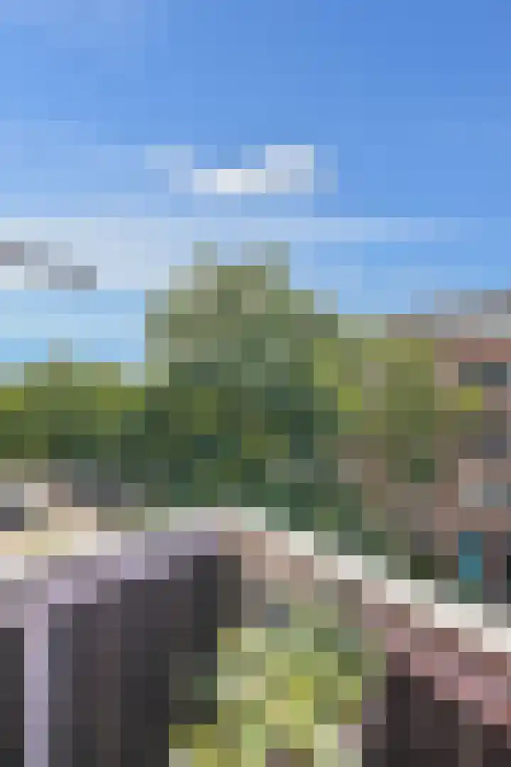 Rosier Faassenstraat 71 Rotterdam thumbnail 16
