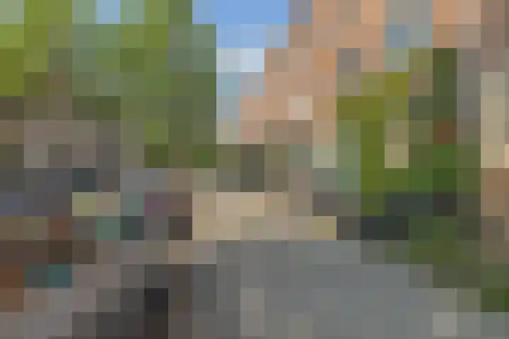 Rosier Faassenstraat 71 Rotterdam thumbnail 36