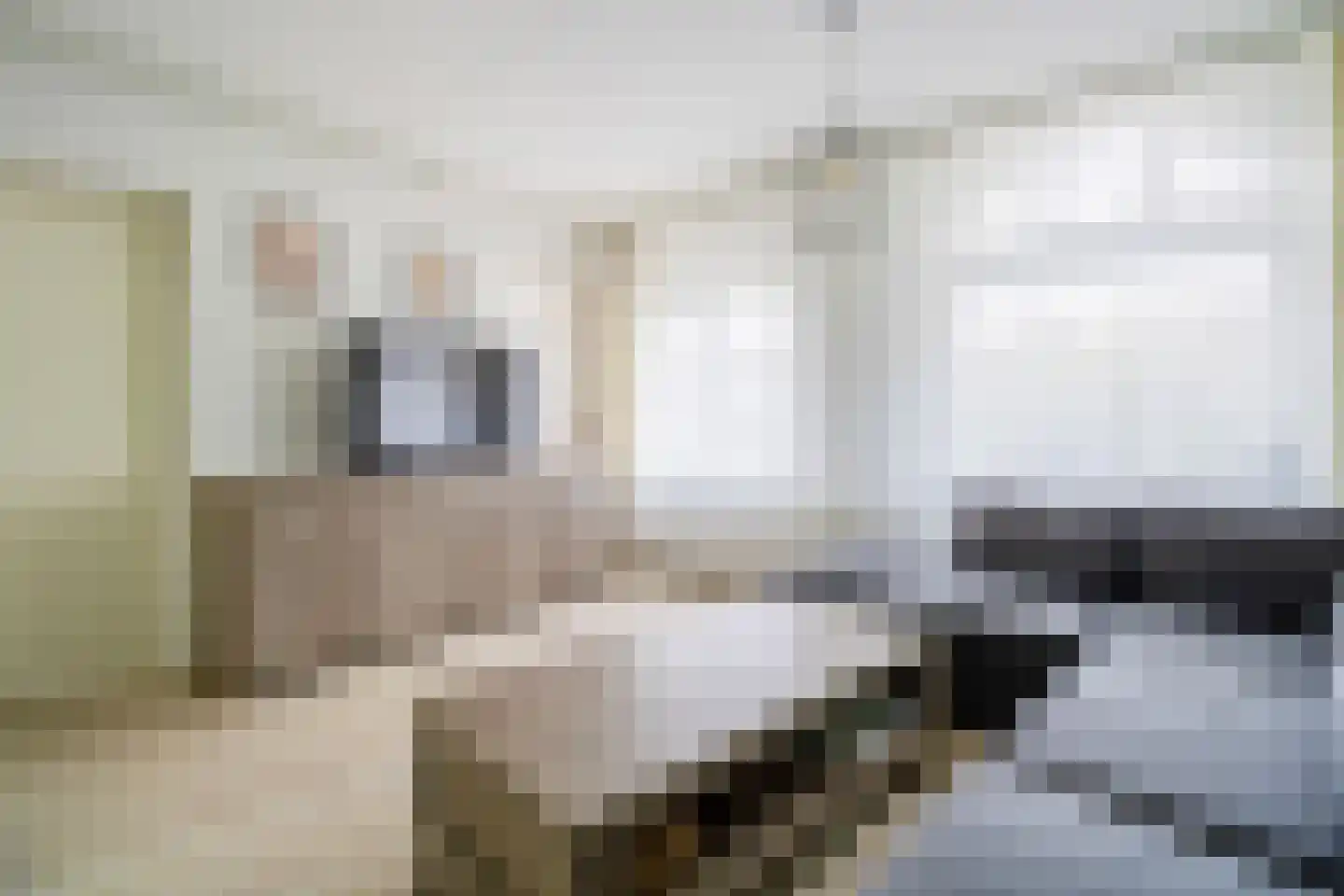 Rosier Faassenstraat 91 Rotterdam thumbnail 11