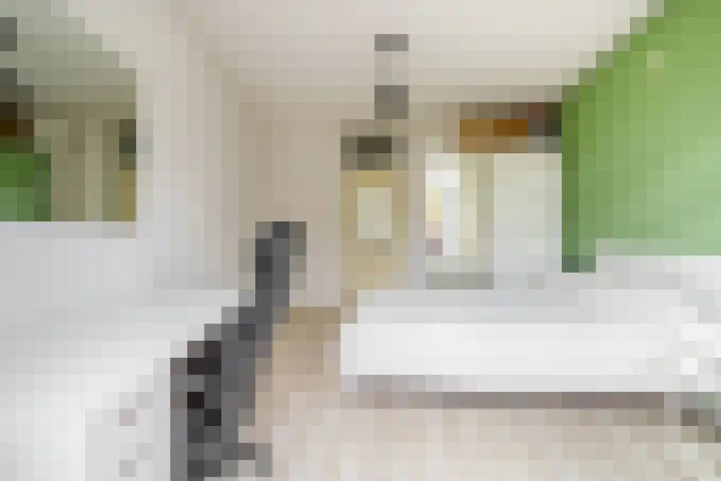 Rosier Faassenstraat 91 Rotterdam thumbnail 26