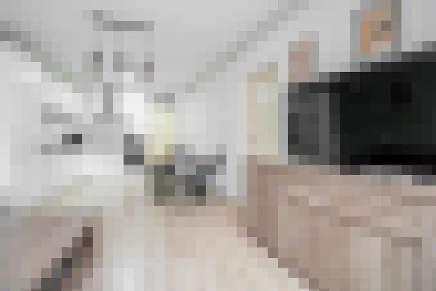 Rosier Faassenstraat 91 Rotterdam thumbnail 7