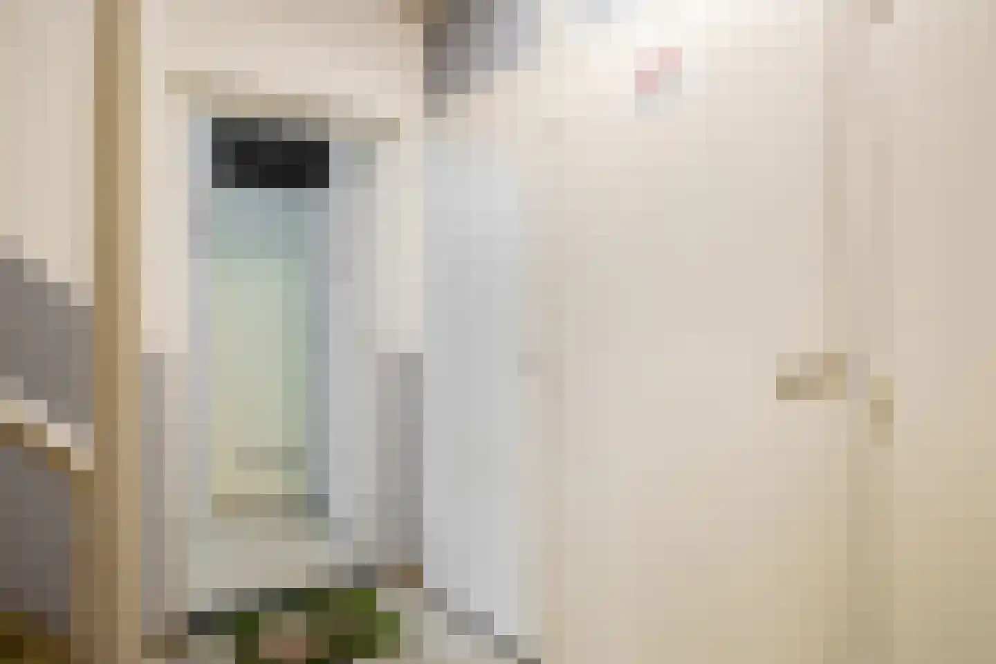 Rosier Faassenstraat 91 Rotterdam thumbnail 9