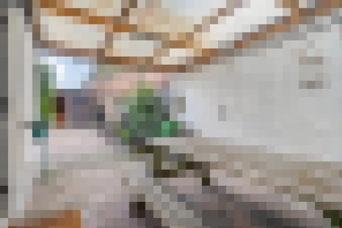 Rosinckserve 14 Hellendoorn thumbnail 36