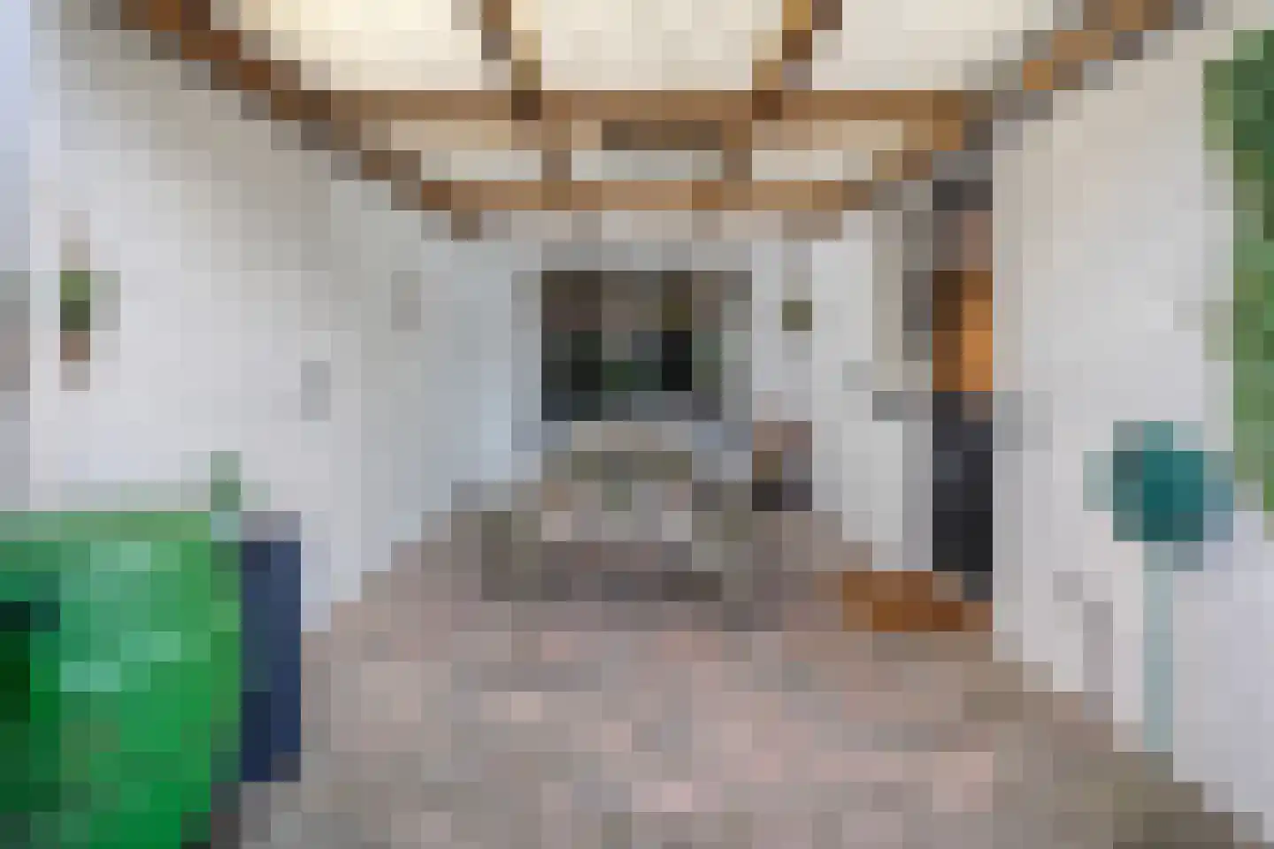 Rosinckserve 14 Hellendoorn thumbnail 38