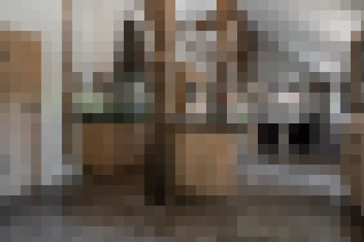 Rosinkweg 35 Enschede thumbnail 19