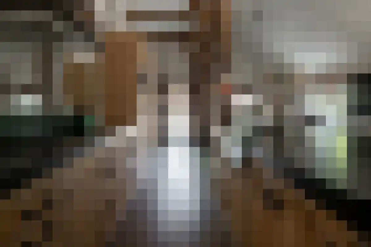 Rosinkweg 35 Enschede thumbnail 21