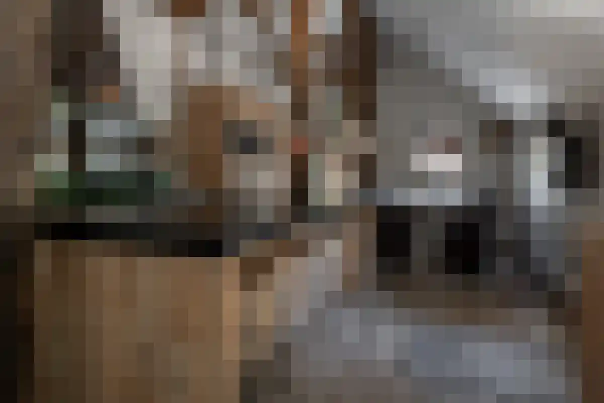 Rosinkweg 35 Enschede thumbnail 22
