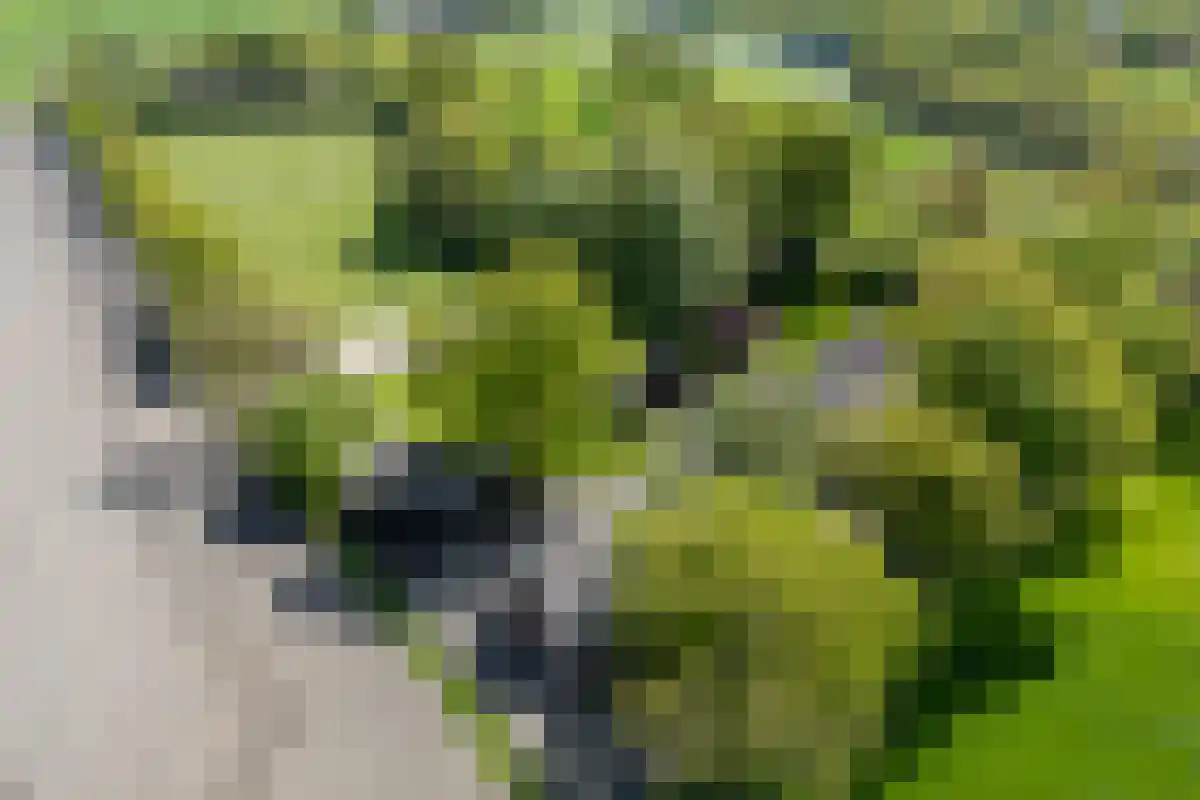 Rosinkweg 35 Enschede thumbnail 4