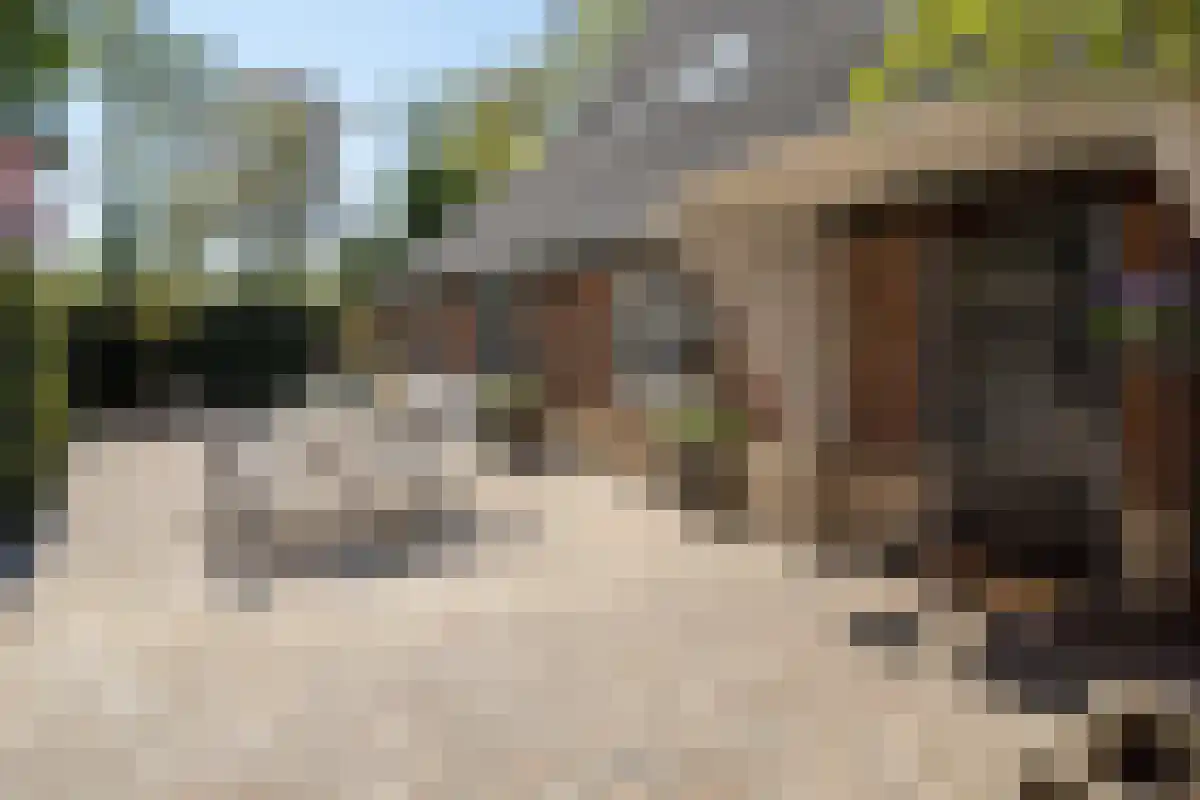 Rosinkweg 35 Enschede thumbnail 8