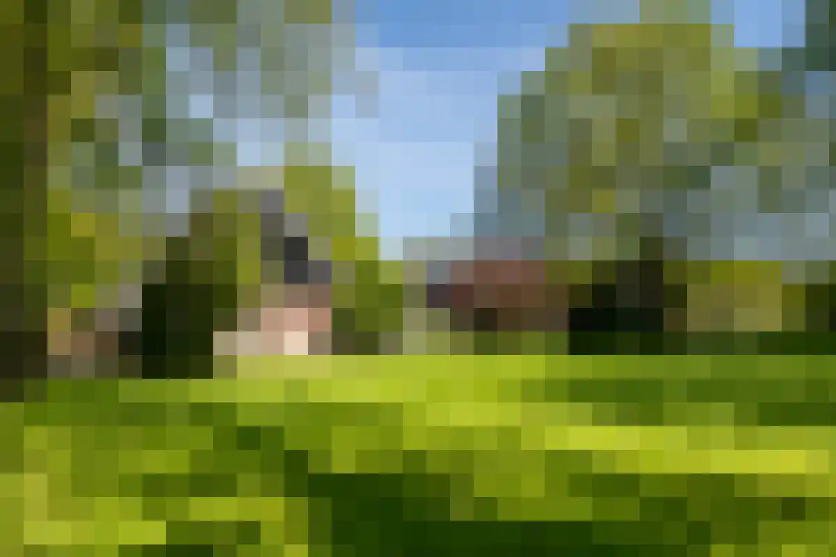 Rosinkweg 35 Enschede thumbnail 9