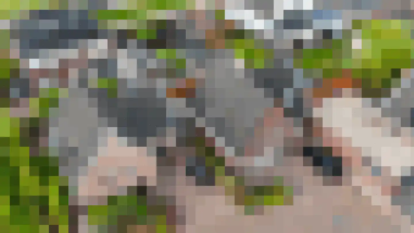 Roskam 12 Weert thumbnail 42