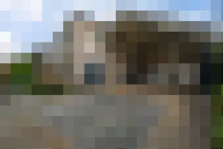 Roskam 20 Hasselt thumbnail 10
