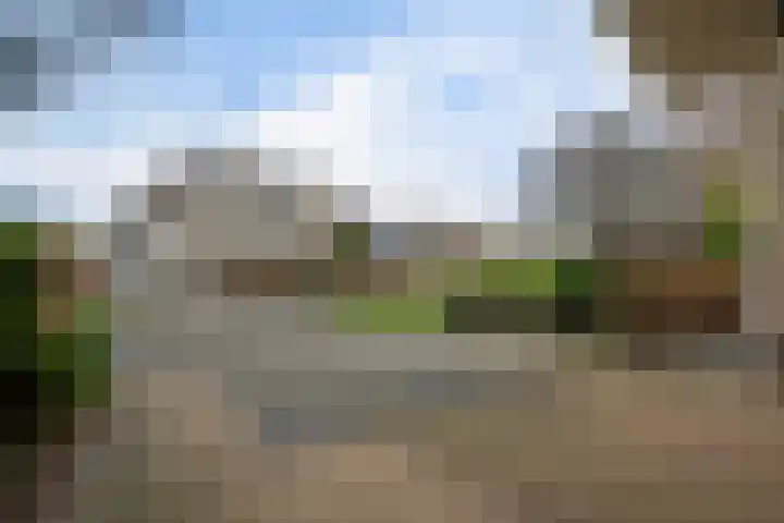 Roskam 20 Hasselt thumbnail 11
