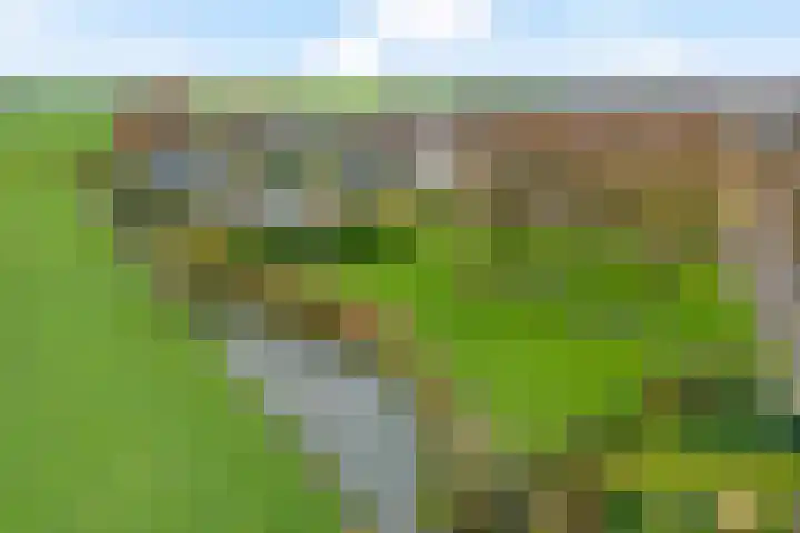 Roskam 20 Hasselt thumbnail 13
