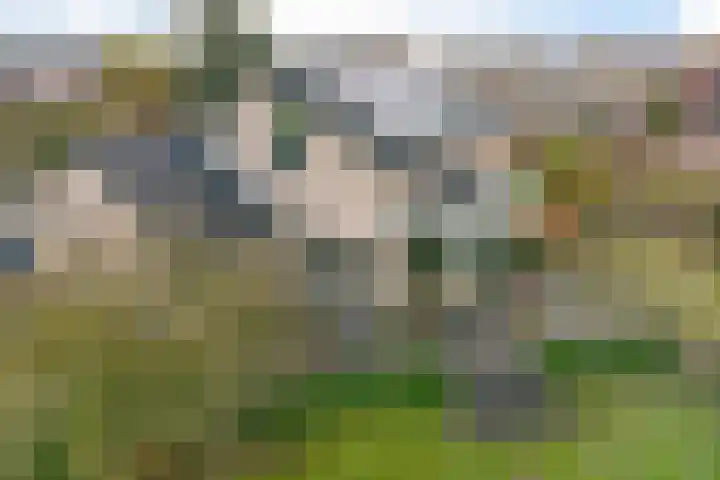 Roskam 20 Hasselt thumbnail 14