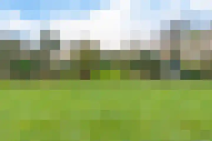 Roskam 20 Hasselt thumbnail 15