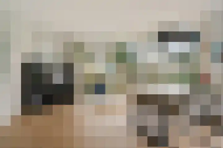 Roskam 20 Hasselt thumbnail 18