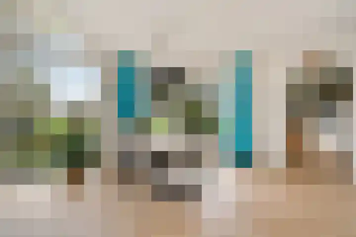 Roskam 20 Hasselt thumbnail 20