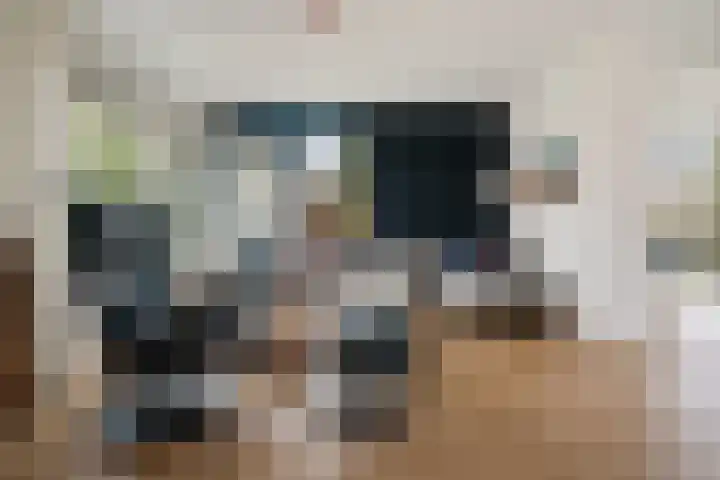 Roskam 20 Hasselt thumbnail 23