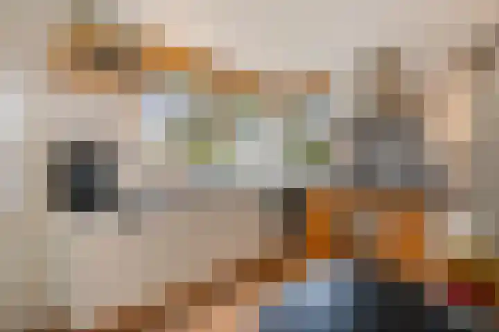 Roskam 20 Hasselt thumbnail 26