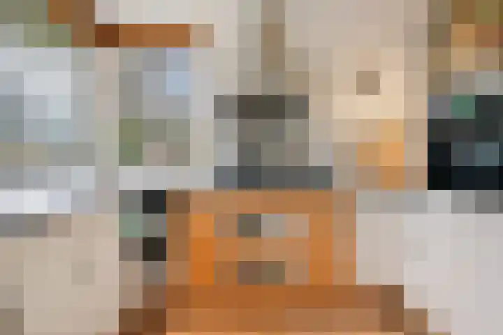 Roskam 20 Hasselt thumbnail 27