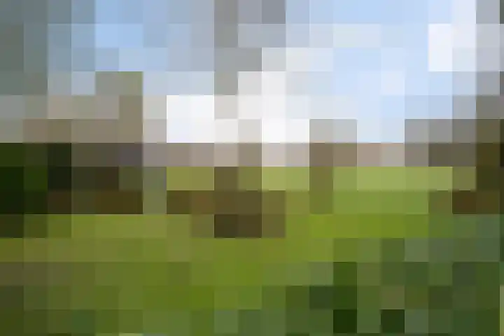 Roskam 20 Hasselt thumbnail 30