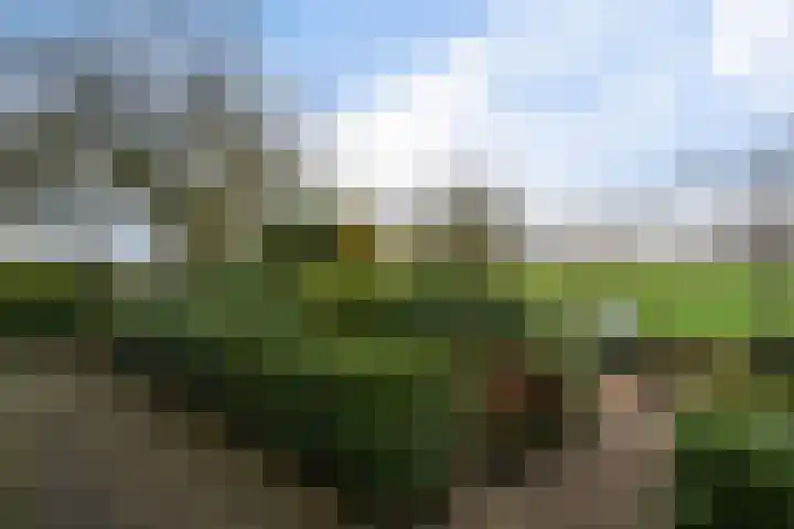 Roskam 20 Hasselt thumbnail 31