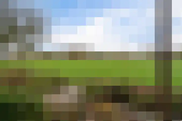 Roskam 20 Hasselt thumbnail 32